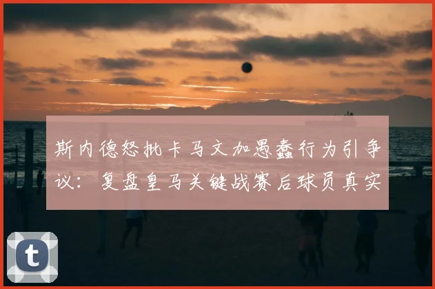 斯内德怒批卡马文加愚蠢行为引争议：复盘皇马关键战赛后球员真实反应与更衣室动态